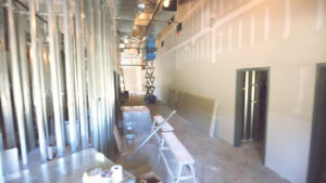 Pexels-Videos-1538132_BR by . 