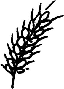 facilities_management_wellbeing (22) by . 