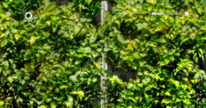 M-Moser_background_40th_06 by . 