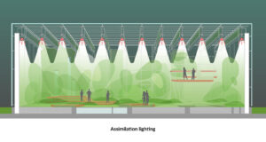 obc-info-tech-oswietlenie-asymilacyjne by . 
