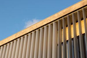 AOC_Alexander_Bogorodskiy_(80) by . 